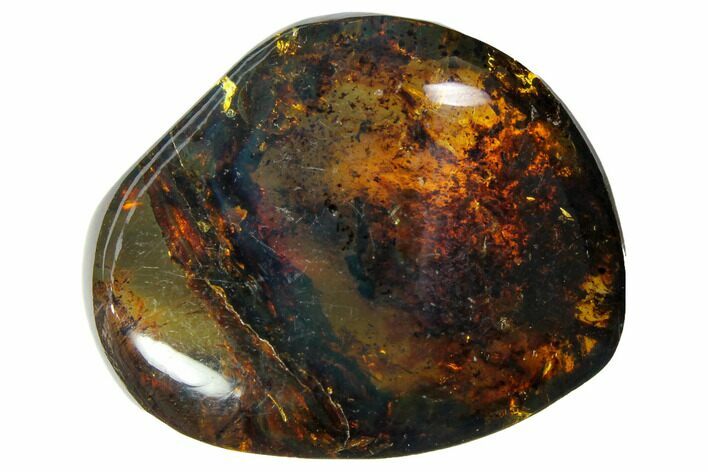 Polished Chiapas Amber ( g) - Mexico #114778